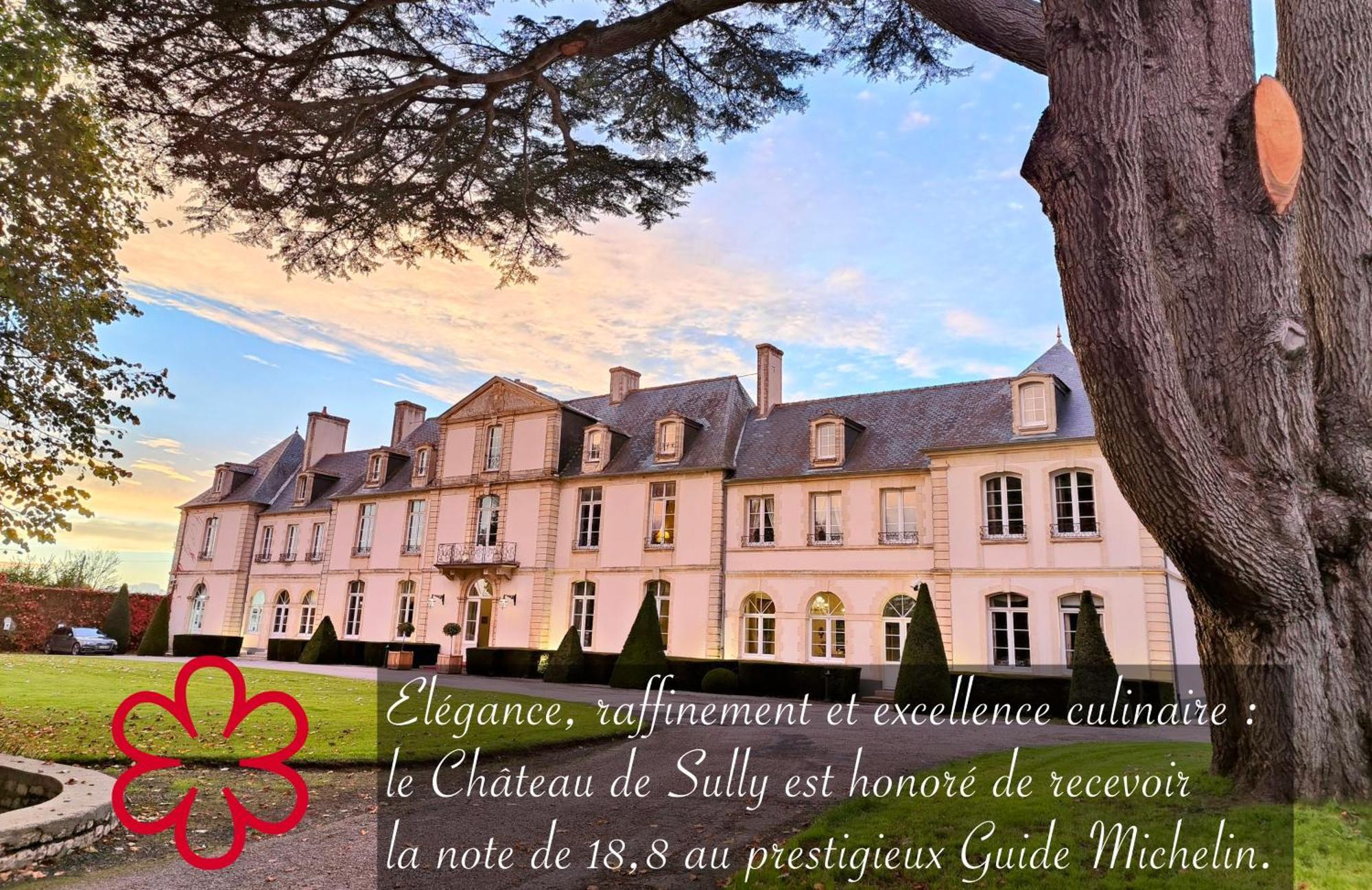 Grand Hotel "Chateau De Sully" - Piscine & Spa -Teritoria Sully  Екстер'єр фото